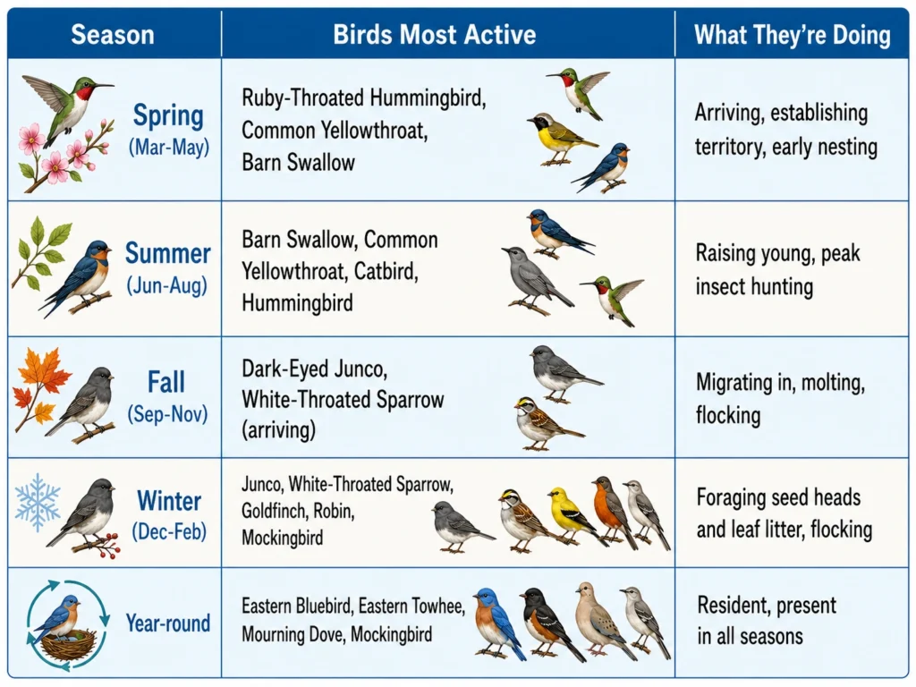 Year-round bird activity calendar for Piedmont prairies in Raleigh and Durham North Carolina
